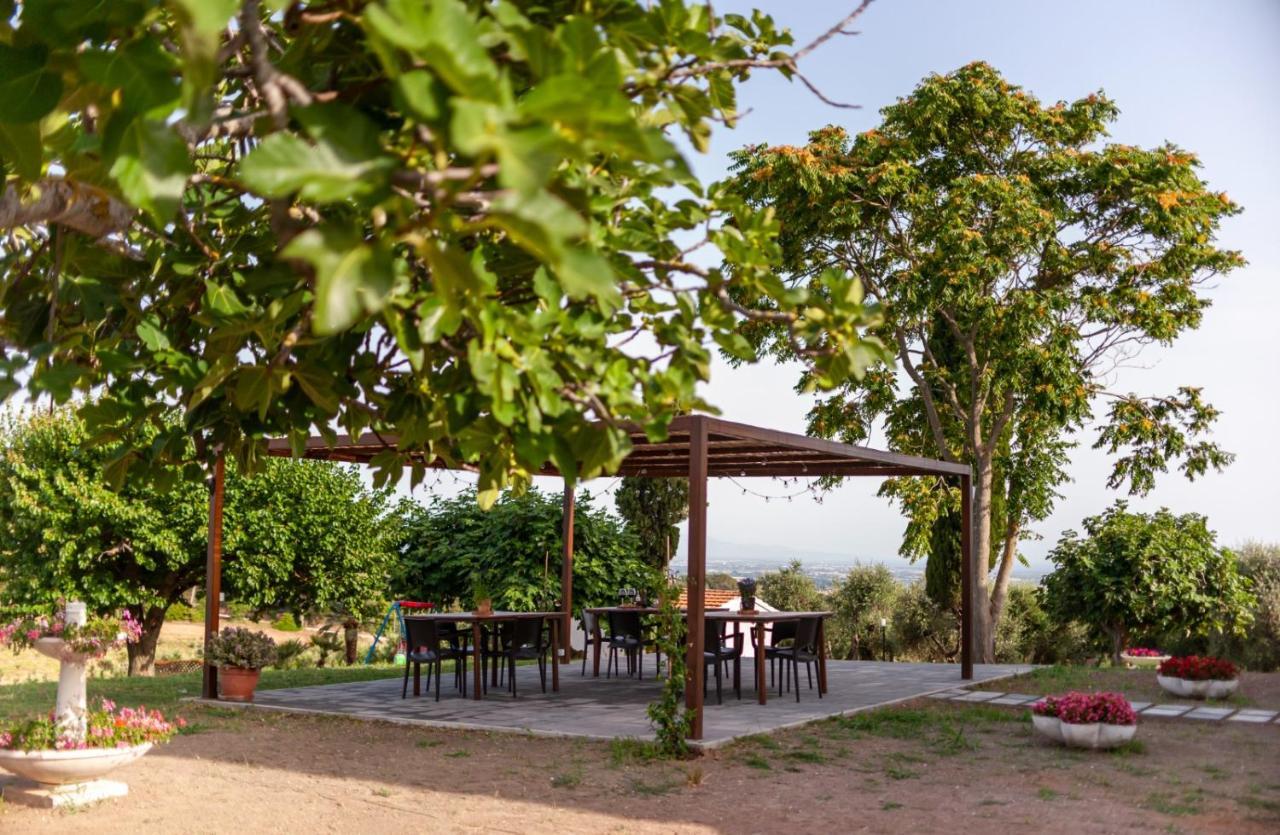 Podere La Maesta * Rosignano Marittimo
